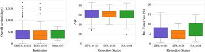 Robustness of Radiomics for Survival Prediction of Brain Tumor Patients Depending on Resection Status